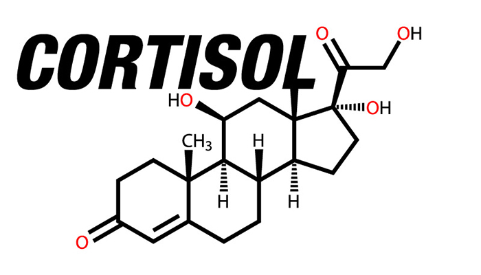Cortisol revised image